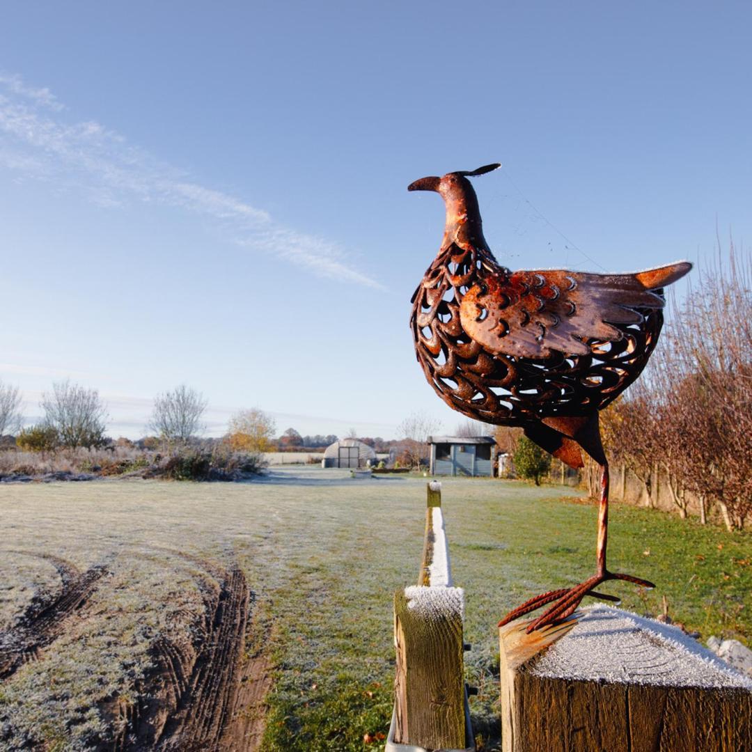Inn The Pheasant Public House &